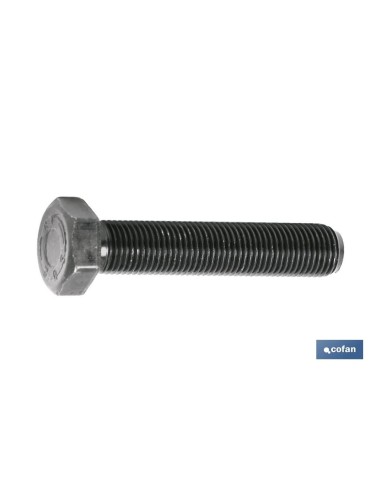 DIN-961 C-8.8 M-8/100 X 30 N