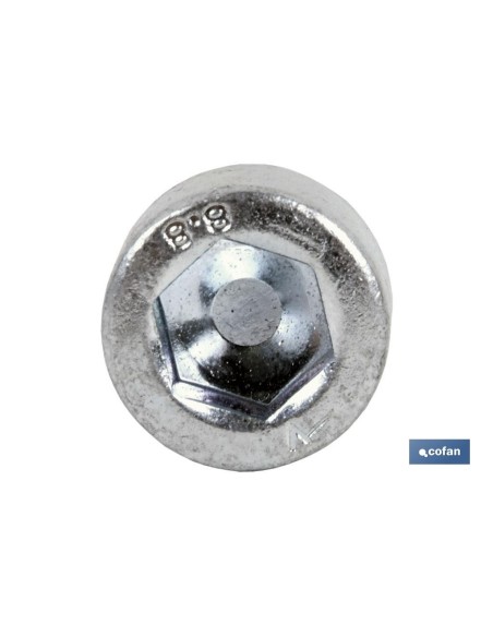 DIN-912 C-8.8 M-5 X 8 Z