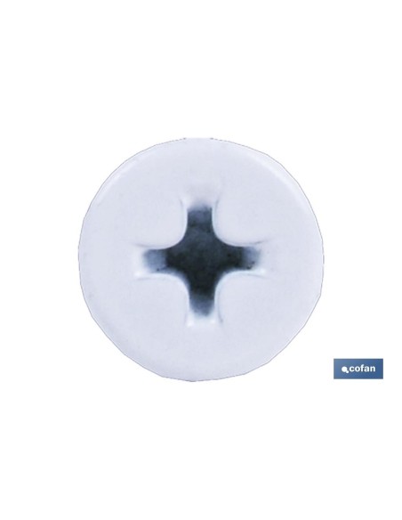 TORNILLO AUTOT. EXTRAPLANO 4,2 X 14 BLANCO