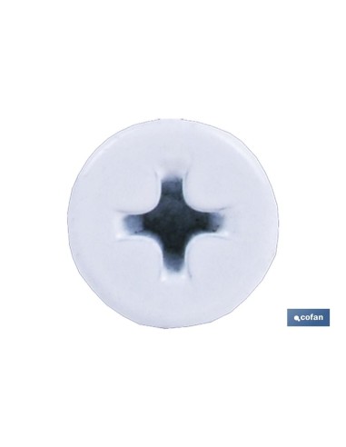 TORNILLO AUTOT. EXTRAPLANO 4,2 X 23 BLANCO