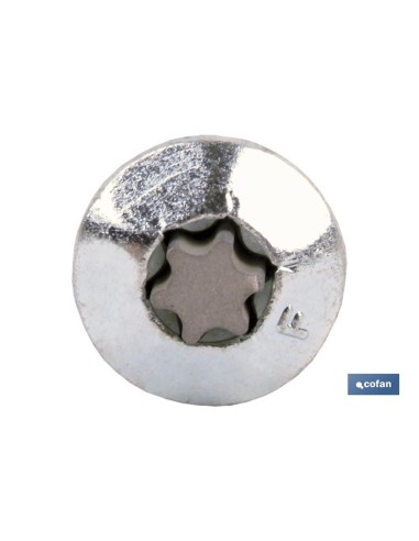 TORNILLO INVIOLABLE TORX30 M-7X80