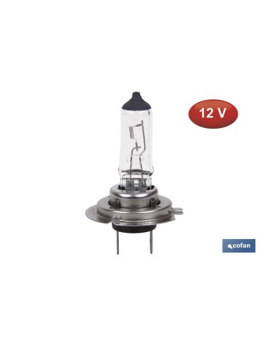 LÁMPARA HALÓGENA COFAN H7 (Px26d) 12V 55W