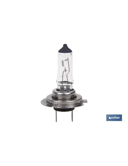 LÁMPARA HALÓGENA COFAN H7 (Px26d) 12V 55W