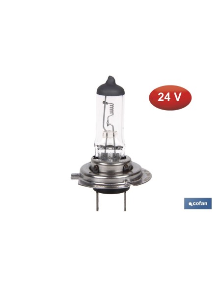 LÁMPARA HALÓGENA COFAN H7 (Px26d) 24V 70W