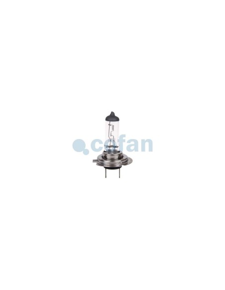 LÁMPARA HALÓGENA COFAN H7 (Px26d) 24V 70W