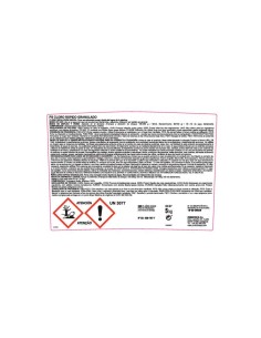 CLORO PS RAPIDO 5KGS. GRANULADO 2