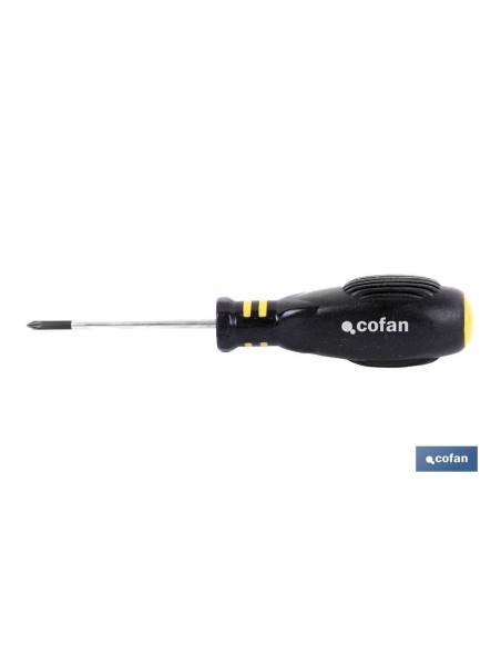 DESTORNILLADOR POZIDRIVE PZ. 2 X 100