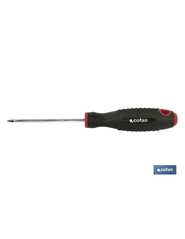 DESTORN. CR-MOLIBDENO PLANO SL-3X60
