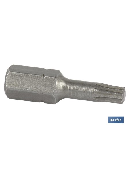 PUNTA XZN EXTRA 1/4, M-4