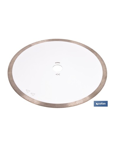 DISCO PORCELANICO MAQUINAS DE MESA 250mm - H25,4