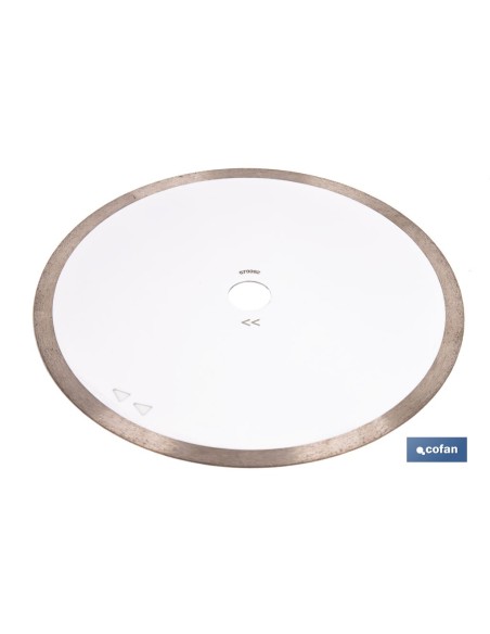 DISCO PORCELANICO MAQUINAS DE MESA 250mm - H25,4
