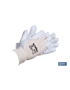 BLISTER G. PIEL V .DORSO DESCUB. T-6