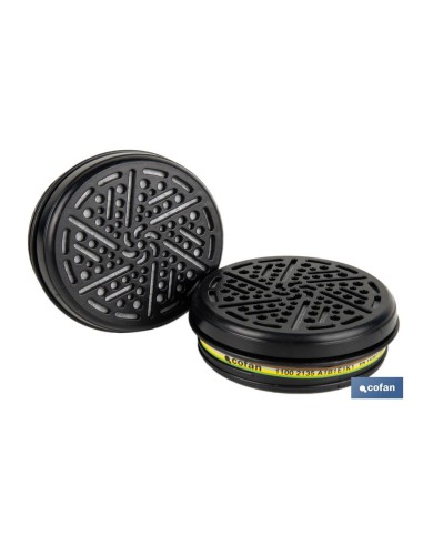 SET 2 FILTROS TIPO A1B1E1K1