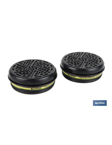 SET 2 FILTROS TIPO A1B1E1K1