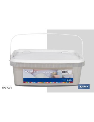 PINTURA PLÁSTICA MONOCAPA GRIS SUAVE 2,5 L