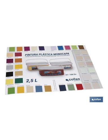 CARTA DE COLORES PINTURA PLASTICA MONOCAPA