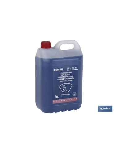 LAVAPARABRISAS ANTICONGELANTE -10º 5 L