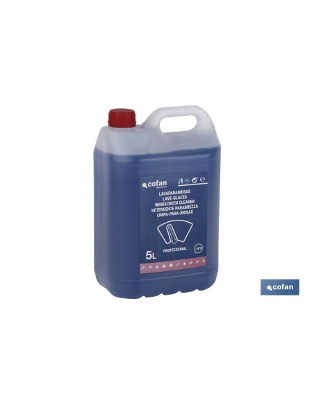 LAVAPARABRISAS ANTICONGELANTE -10º 5 L