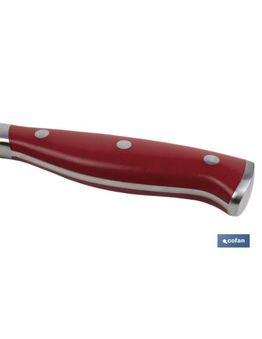 CUCHILLO JAMONERO/SALMONERO HOJA 25cm MODELO AGUACEJO ROJO