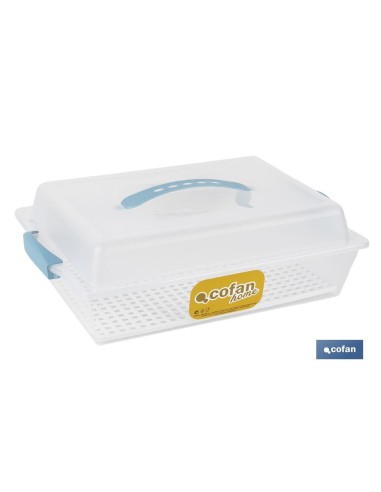TARTERA RECTANGULAR AZUL OPACA PAVLOVA CON ASAS 38 X 28 X 13 CM