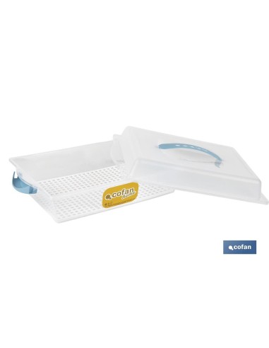 TARTERA RECTANGULAR AZUL OPACA PAVLOVA CON ASAS 38 X 28 X 13 CM venta unitaria
