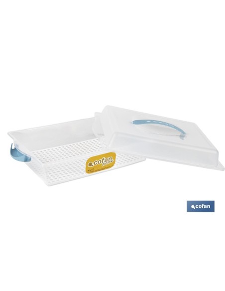 TARTERA RECTANGULAR AZUL OPACA PAVLOVA CON ASAS 38 X 28 X 13 CM venta unitaria