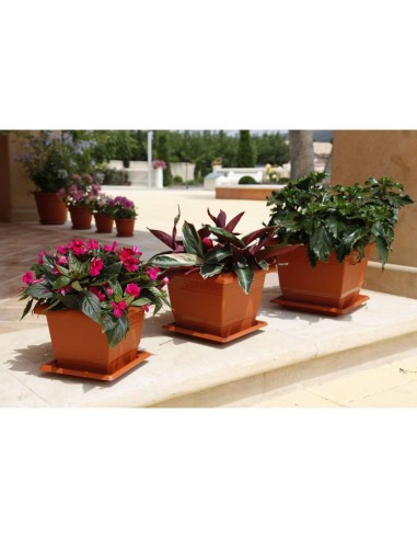 PLATO PLASTICO MACETA CUADRADA 25 CM TERRACOTA (D) PLASTICFOR