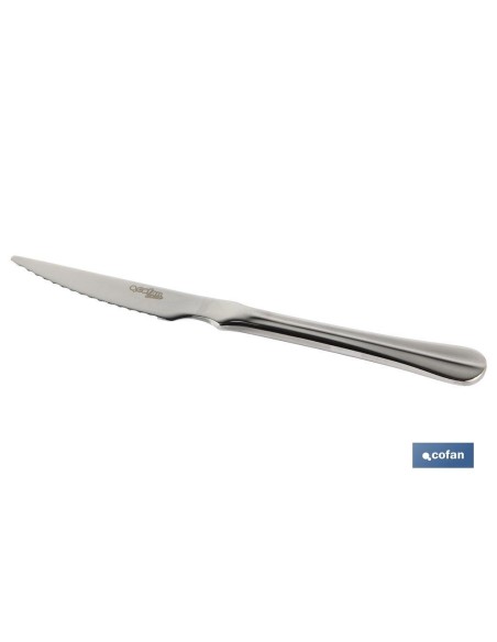 CAJA 12uds CUCHILLO DE CARNE INOX C-18/0 MODELO BOLONIA 10 mm