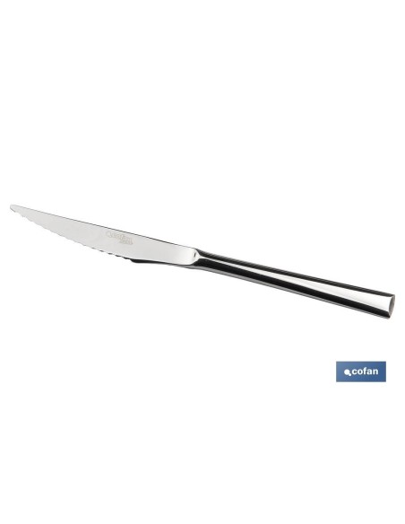 CAJA 12uds CUCHILLO DE CARNE INOX C-18/10 MODELO BARI 10 mm