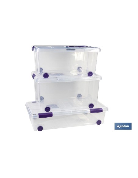 CAJA ORDENACION CON RUEDAS 57L MODELO RICORDI 62X45X32cm