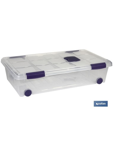 CAJA ORDENACION CON RUEDAS 57L MODELO RICORDI 62X45X32cm