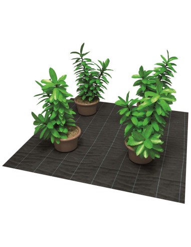 MINIROLLO ANTIHIERBA G100 1,05X10 NEGRO/V