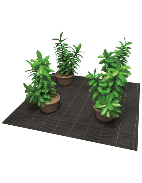 MINIROLLO ANTIHIERBA G100 1,05X10 NEGRO/V