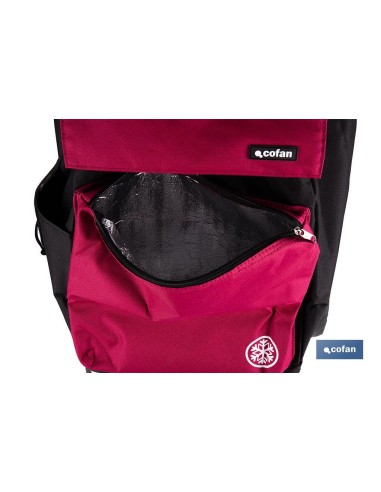 CARRO DE LA COMPRA NEGRO Y GRANATE PLEGABLE DE ALUMINIO CON 2 RUEDAS GRANDES 43 L