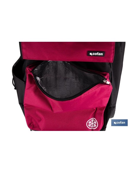 CARRO DE LA COMPRA NEGRO Y GRANATE PLEGABLE DE ALUMINIO CON 2 RUEDAS GRANDES 43 L