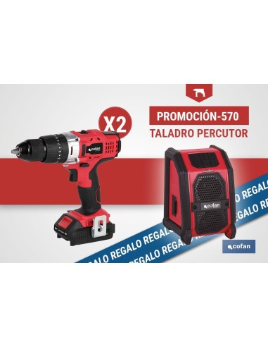 PACK DE TALADRO PERCUTOR (2 UDS.) Y ALTAVOZ BLUETOOTH