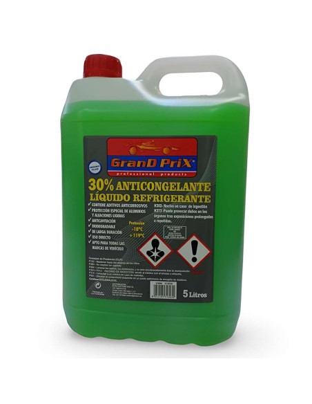 ANTICONGELANTE 30% 5L VERDE EURO BOTTA
