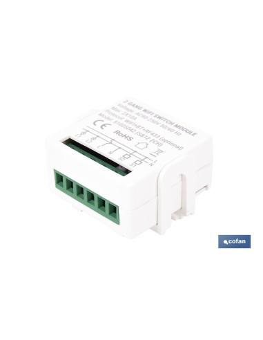 RELÈ DE 2 INTERRUPTORES WIFI