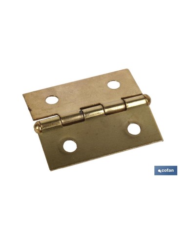 2 UDS. BISAGRA DE HIERRO LATONADO 35X30 VENTA UNITARIA