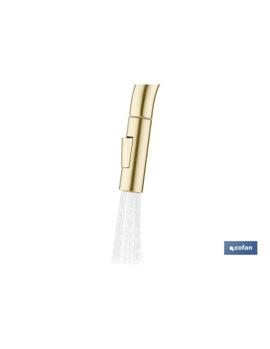 GRIFO DE COCINA CEPILLADO DORADO DE ACERO CON MANGUERA EXTENSIBLE Y 2 FUNCIONES 400 X 220 X 54 MM