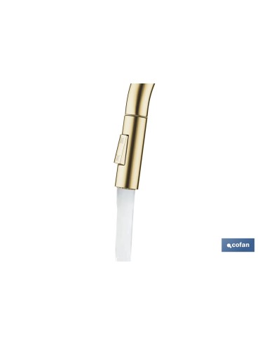GRIFO DE COCINA CEPILLADO DORADO DE ACERO CON MANGUERA EXTENSIBLE Y 2 FUNCIONES 400 X 220 X 54 MM