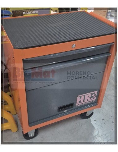 CARRO CON PORTON HR CON 68 HTAS.