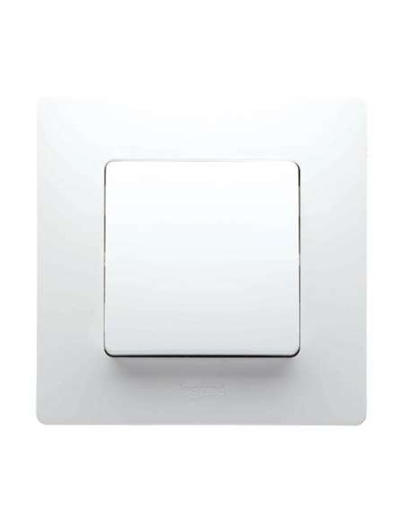 NILOE CRUZAMIENTO BLANCO