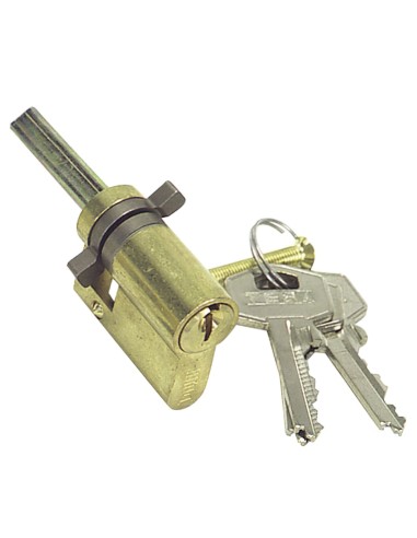 Cilindro Tesa 5520/00/ Latonado
