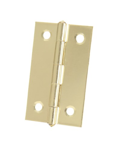 Bisagra 5005 Latonada 3/4"