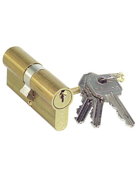 Cilindro Lince Europerfil Latonado 0100/60 mm.