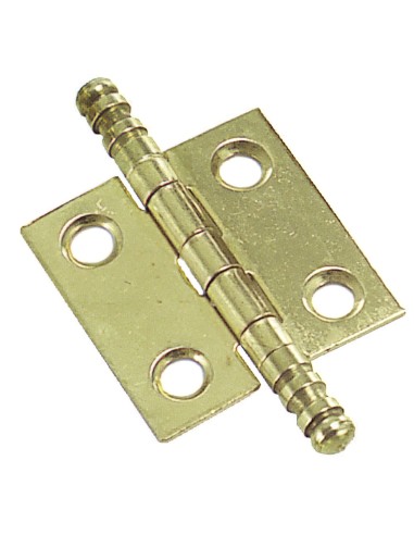 Bisagra latonada 207 50x40 mm.