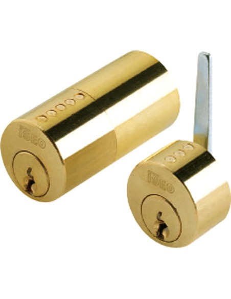 Cilindro Iseo F5 Para Cerradura 500