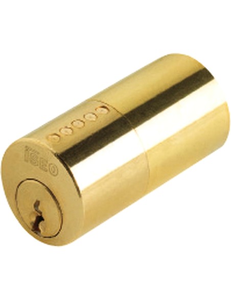 Cilindro Iseo F5 Para Cerradura 510