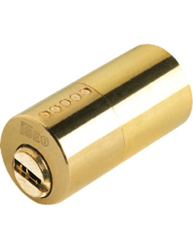 Cilindro Iseo R6 Seguridad Para Cerradura 510